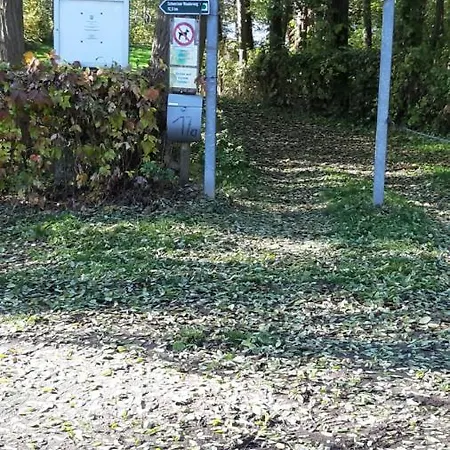 Апартаменты Haus Am Zemminsee Грос-Кёрис