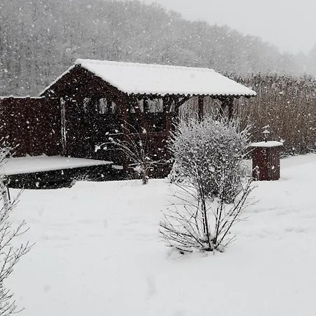 Haus Am Zemminsee *